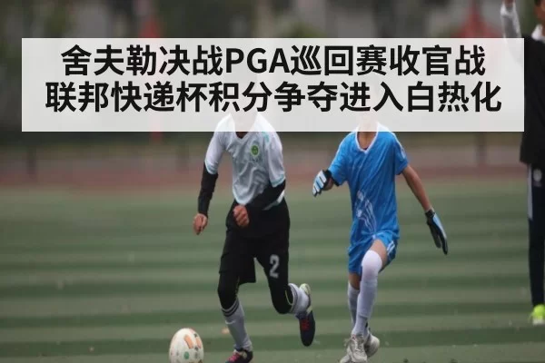 舍夫勒决战PGA巡回赛收官战 联邦快递杯积分争夺进入白热化 - NG28