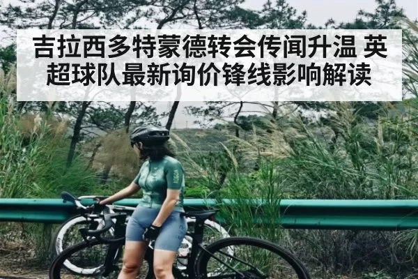 吉拉西多特蒙德转会传闻升温 英超球队最新询价锋线影响解读 - NG28